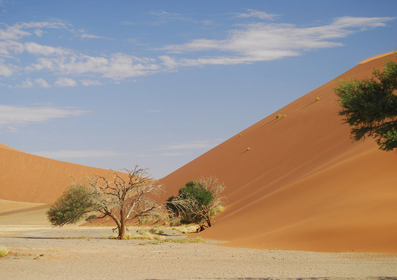 79698 Natur - Namibia