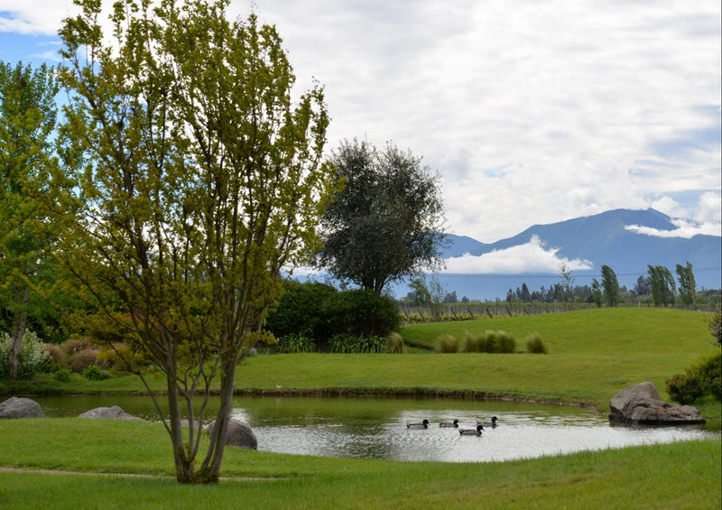 45470 Natur - Teich