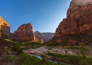18269 Natur - Zion Nationalpark