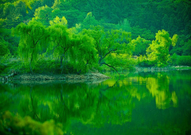 22400 Natur - Stausee