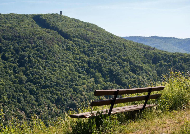 21921 Natur - Bank mit Ausblick