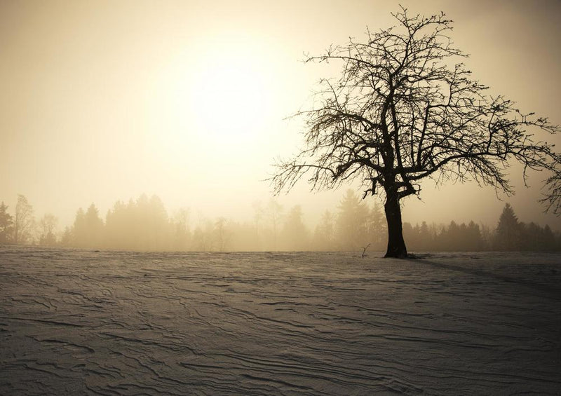 28904 Natur - Baum