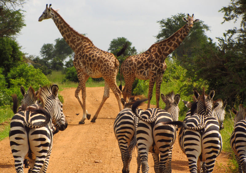 78602 Natur - Afrika