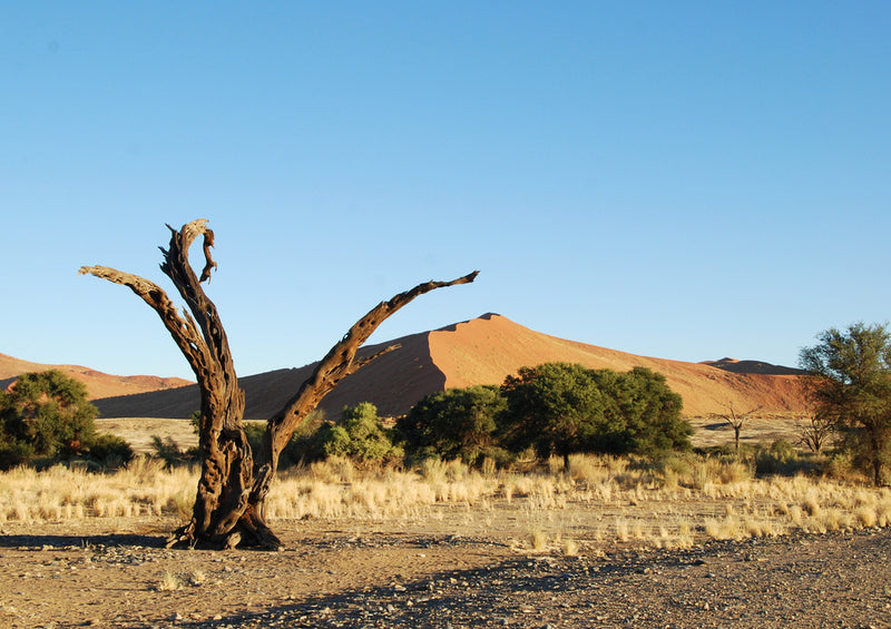 79701 Natur - Namibia