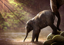 85741 Natur - Elefant