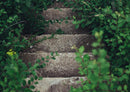28159 Natur - Treppe