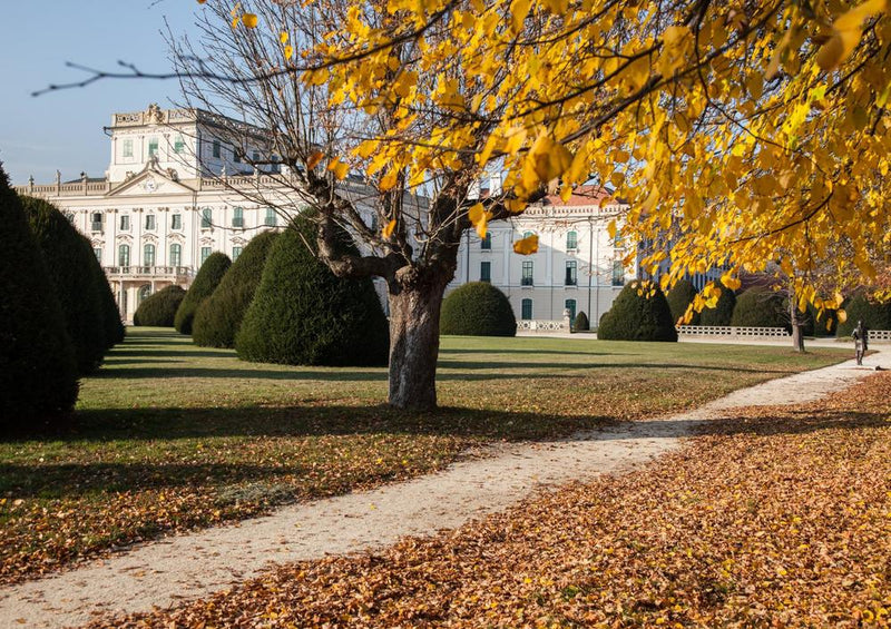 23655 Natur - Schloss im Herbst