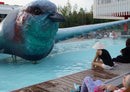 17794 Tierwelt - Vogel im Pool