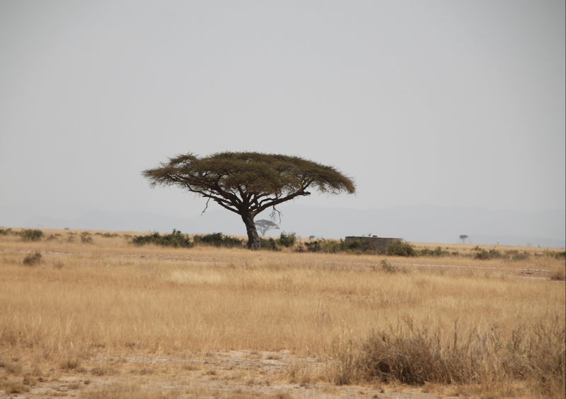 78506 Natur - Afrika