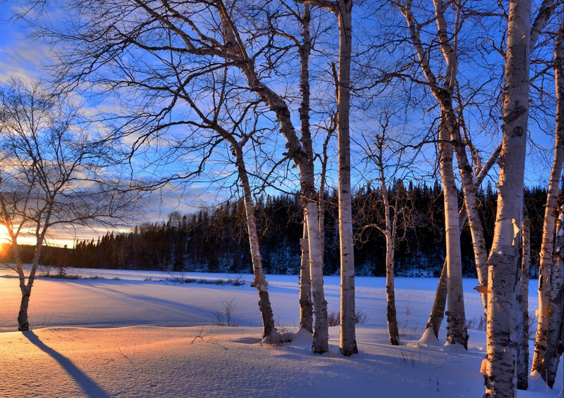 45280 Natur - Winterlandschaft