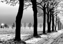 37386 Natur - Winter