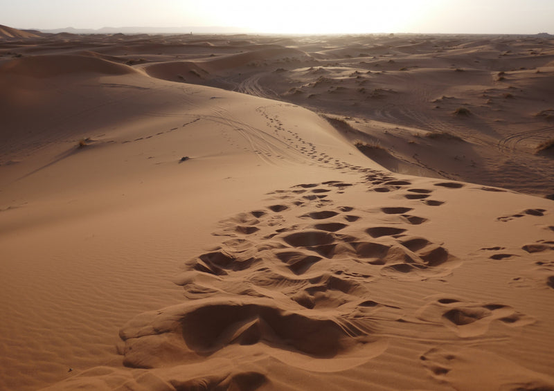 70869 Natur - Spuren im Sand