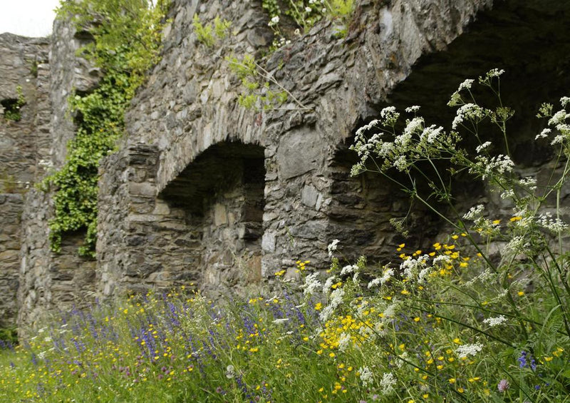 19226 Gebäude - Burg-Ruine