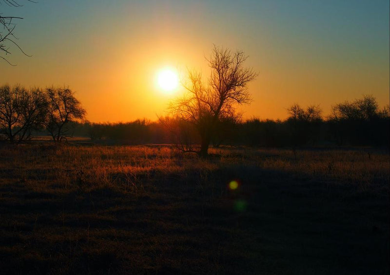 22351 Natur - Sonnenuntergang