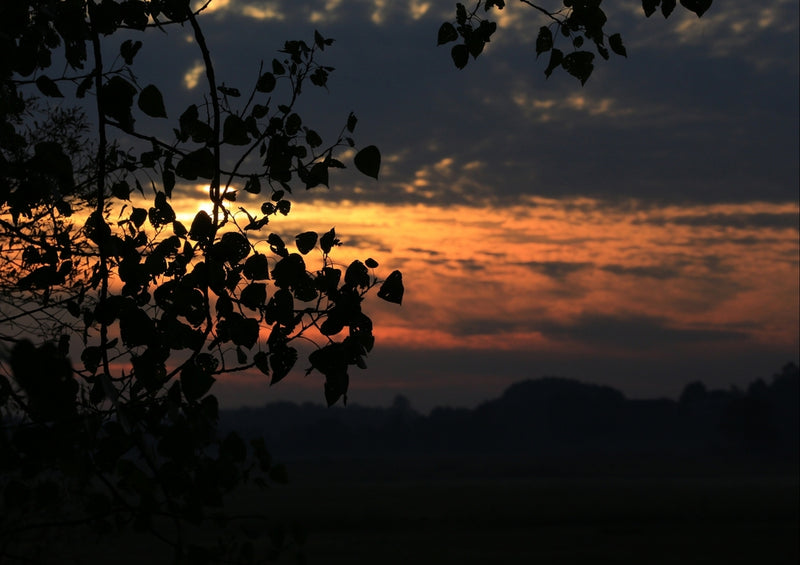 38872 Reisen - Sonnenuntergang