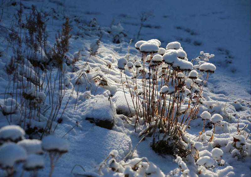 24027 Natur - Winterlandschaft