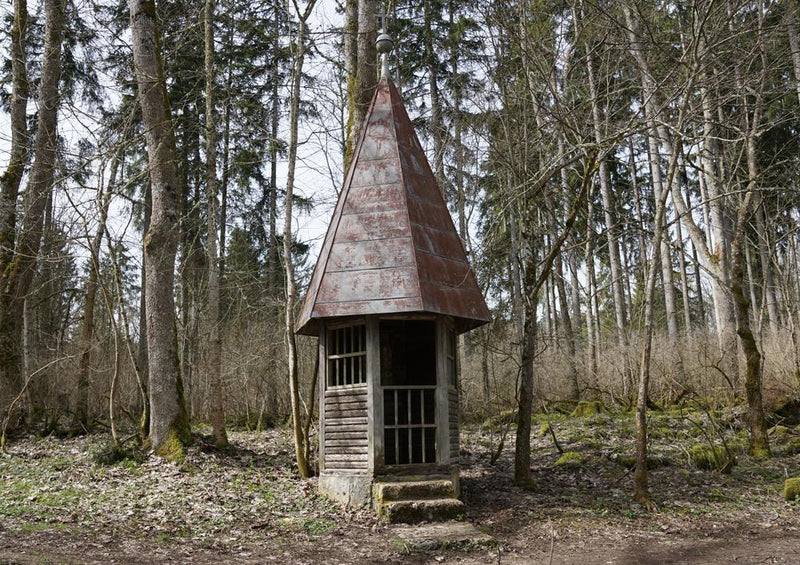 21896 Natur - Zwergenhaus im Wald