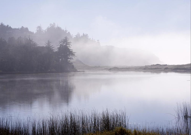 24584 Natur - Nebel über dem See