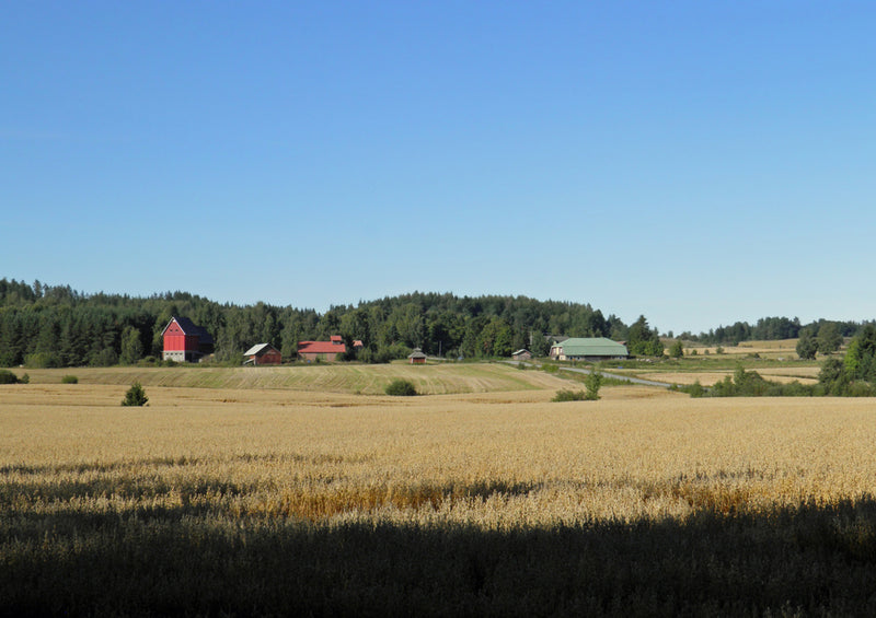 69581 Natur - Finnland