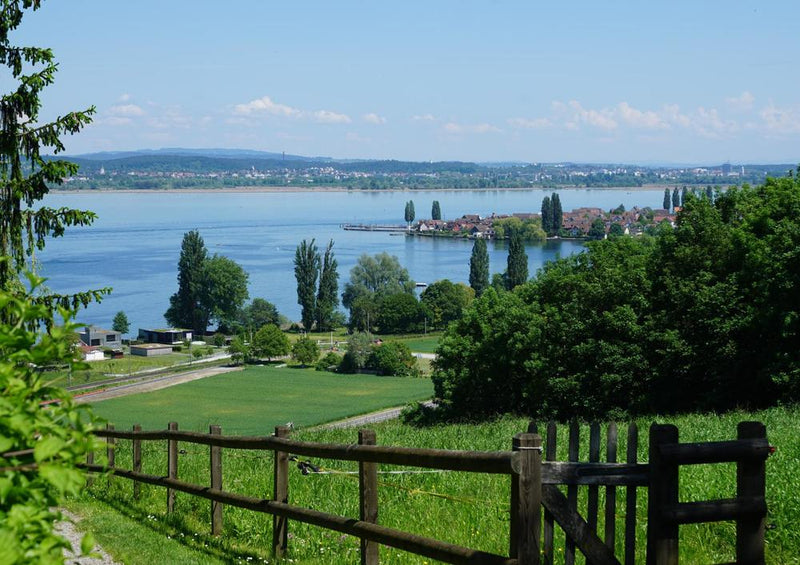 23490 Natur - Bodensee