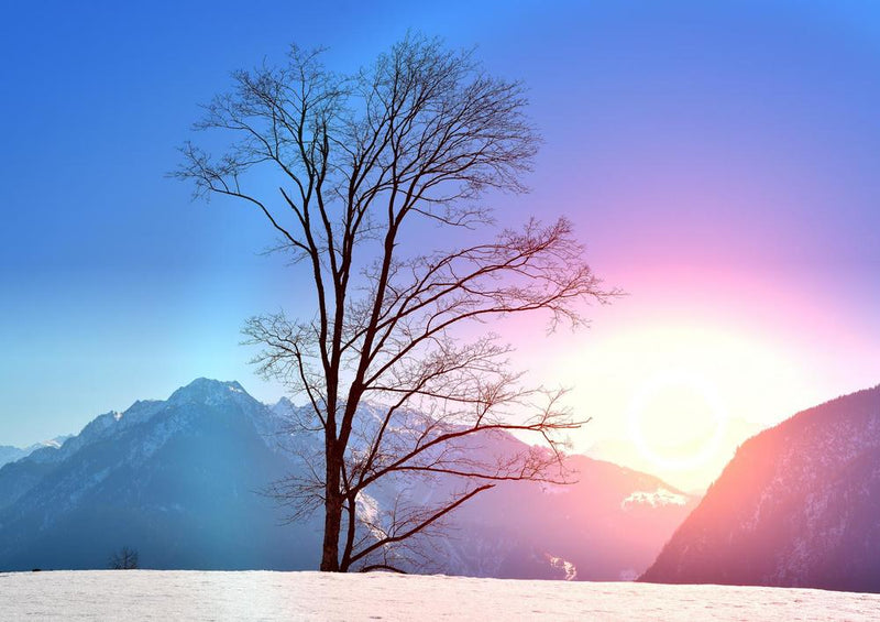 18032 Natur - Sonne im Schnee