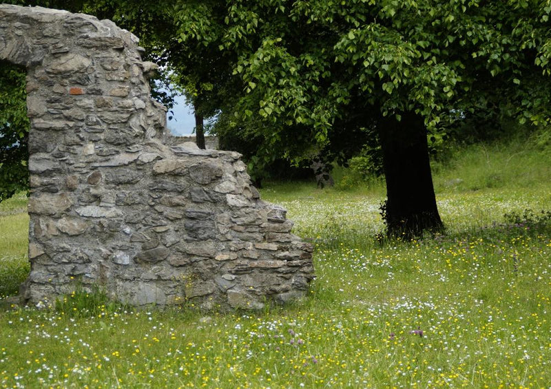 24187 Natur - Felsmauer im Gras