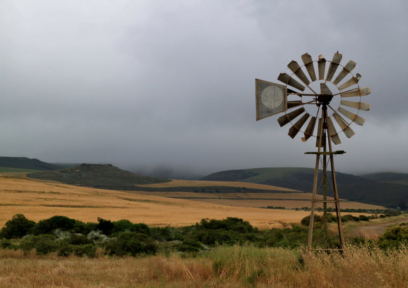 81873 Natur - Afrika