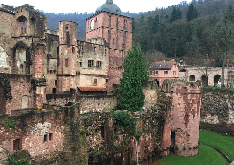 31805 Gebäude - Heidelberger Schloss