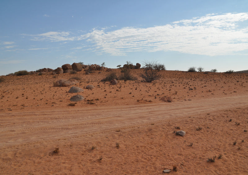 79864 Natur - Namibia