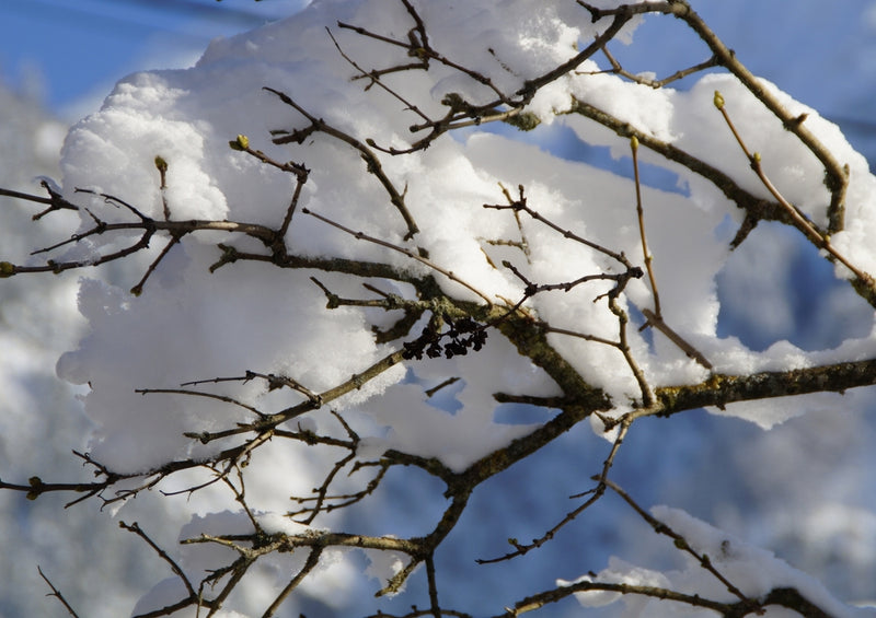 37314 Natur - Schnee