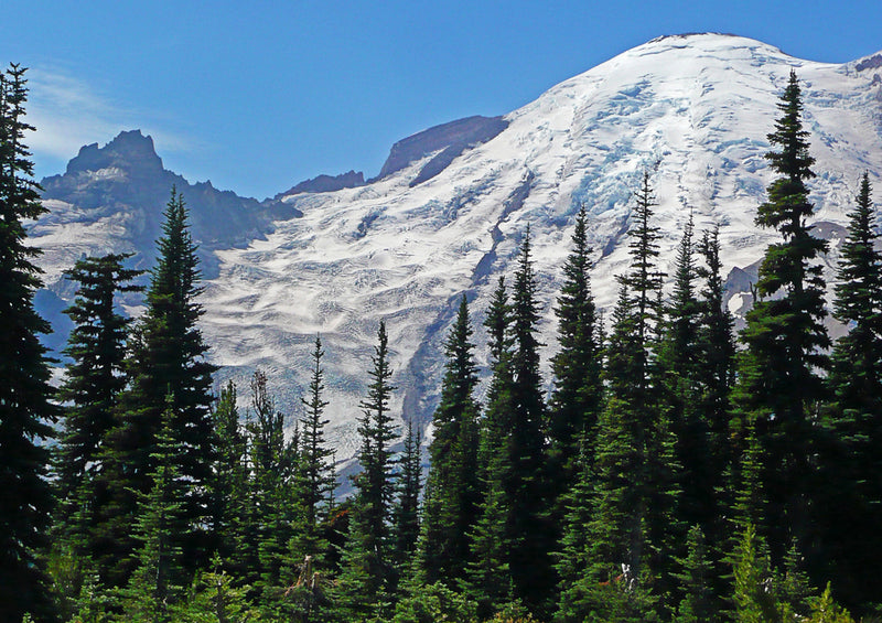 81234 Natur - Mount Rainier