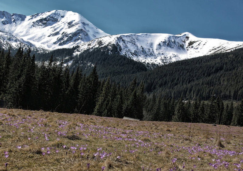 37257 Natur - Dolina Chocholowska