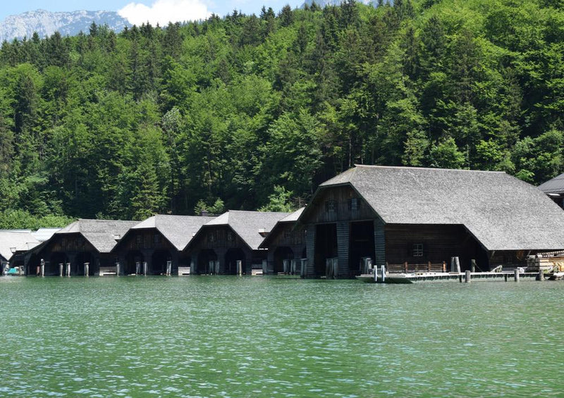 21846 Natur - Königsee