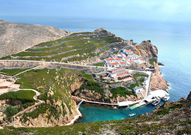 20683 Natur - Berlenga-Insel