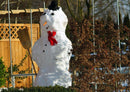 25509 Natur - Schneemann