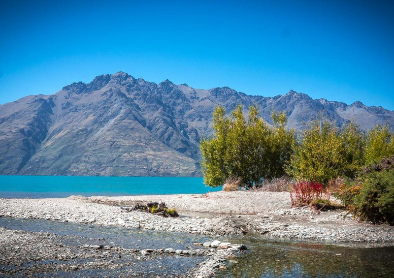 19120 Natur - Neuseeland