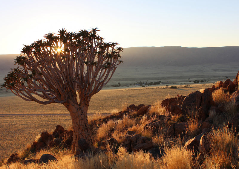 83580 Natur - Namibia