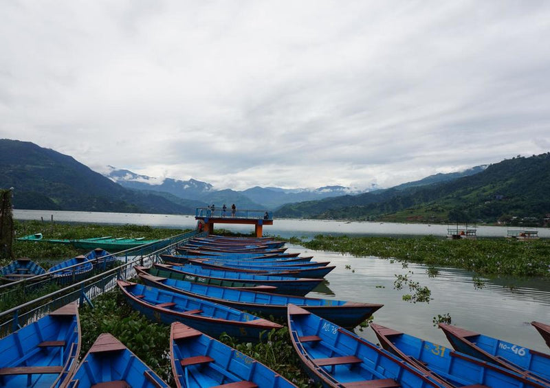 17995 Natur - Pokhara