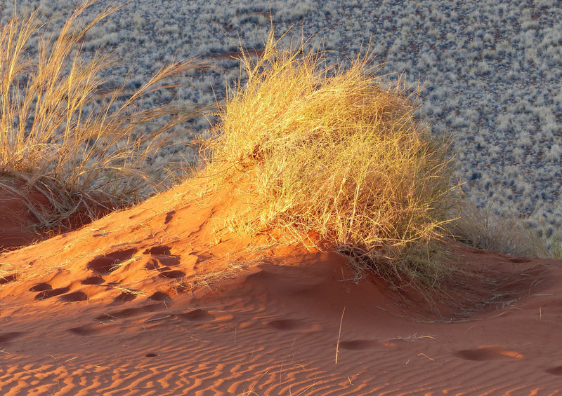 70727 Natur - Namibia