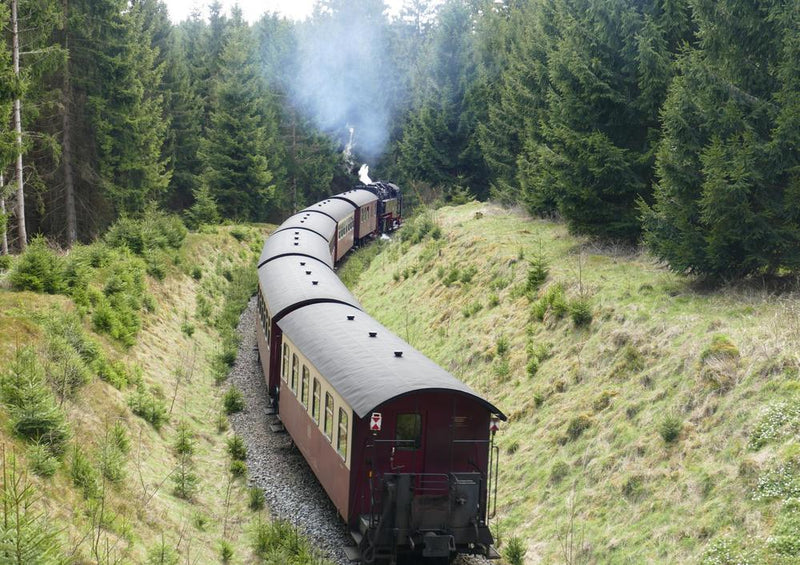 17674 Natur - Brocken-Bahn