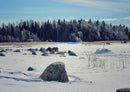69837 Natur - Finnland