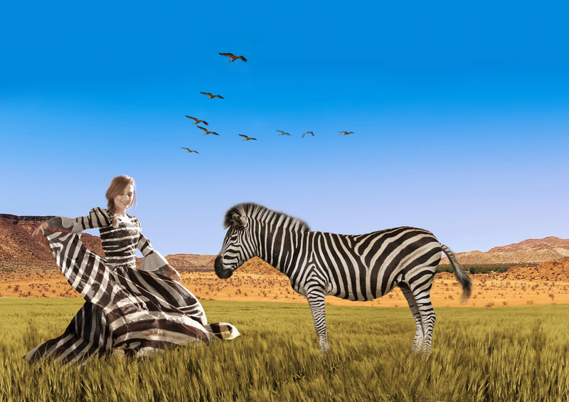 80414 Hintergründe - Zebras