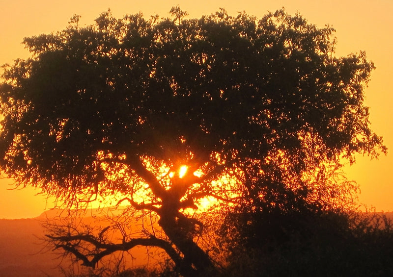 50738 Reisen - Afrikanischer Sonnenuntergang