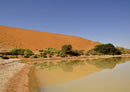 76751 Natur - Namibia