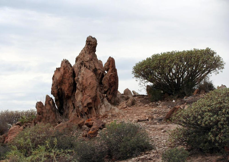 33429 Natur - Felsen