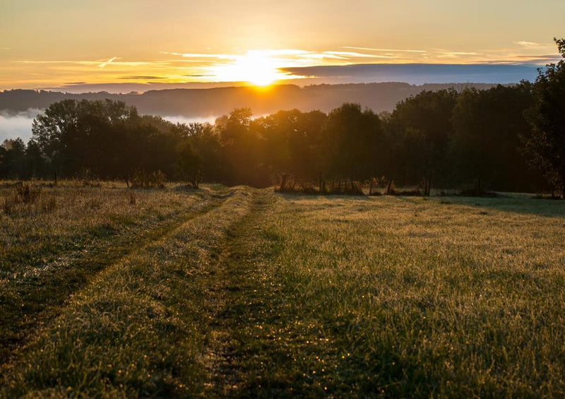 21916 Natur - Sonnenaufgang