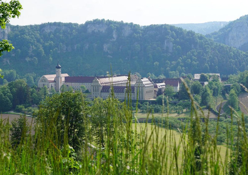 21976 Natur - Kloster Beuron