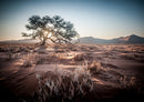 84533 Natur - Namibia