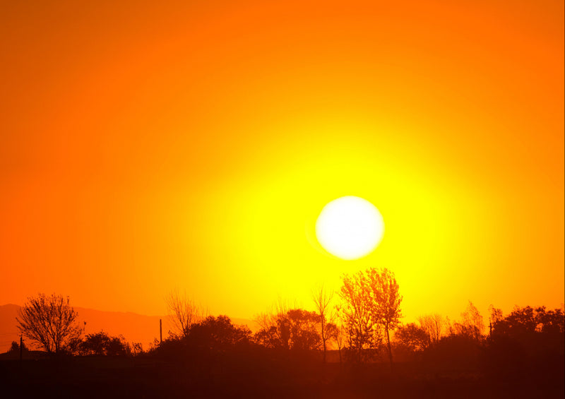 81940 Natur - Sonnenuntergang