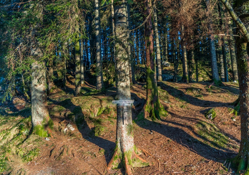 37217 Natur - Norwegen